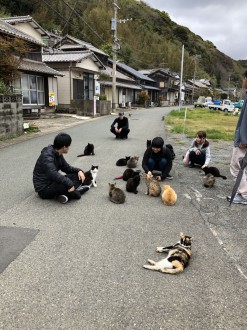 ねこの島へ♪