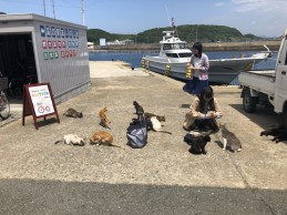 相島へ校外学習