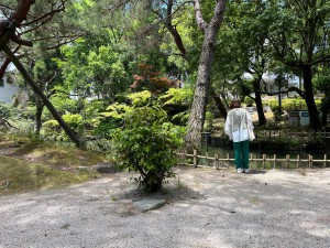 福岡大学内の森